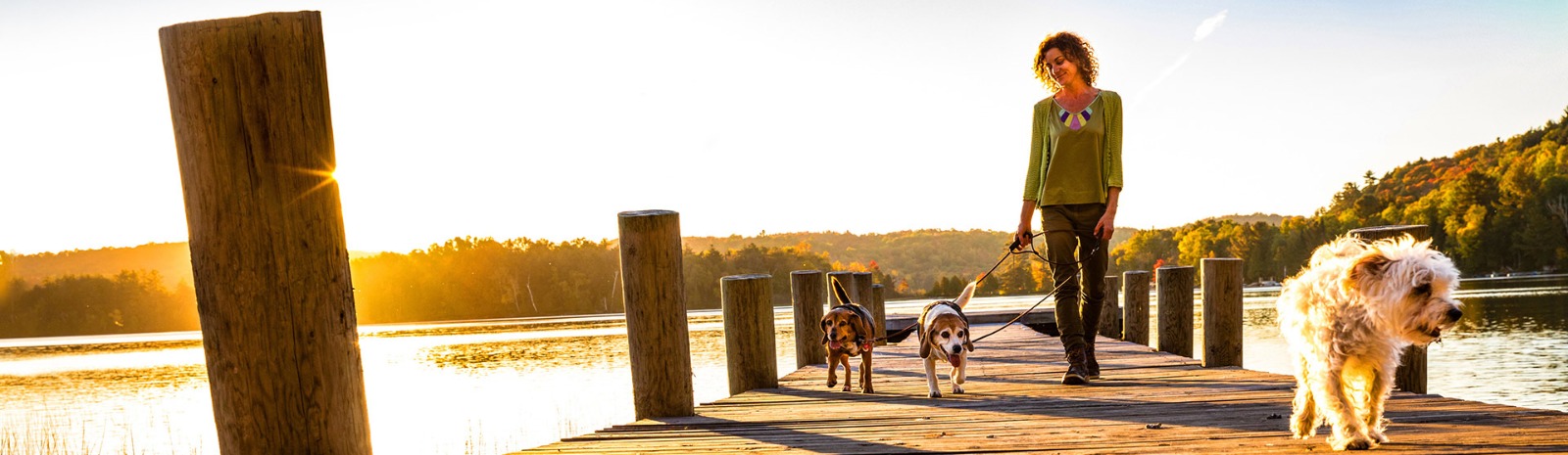 woman walking her dogs on a dock